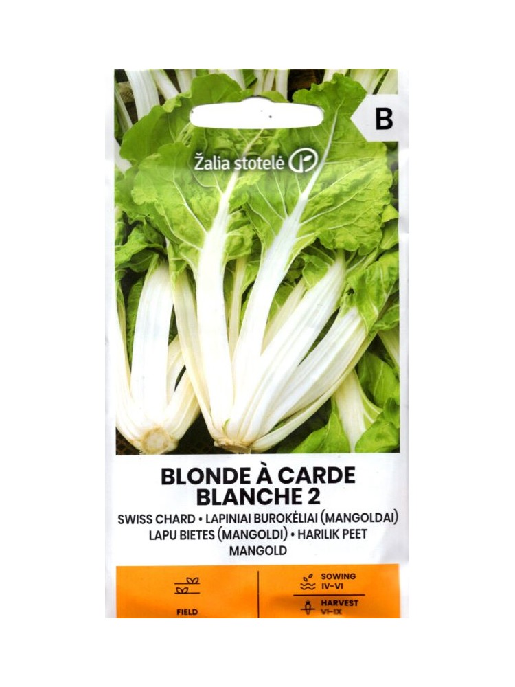 Chard 'Blonde A Carde Blanche' 5 g