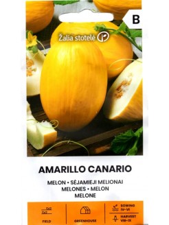Melone 'Amarillo Canario' 1 g