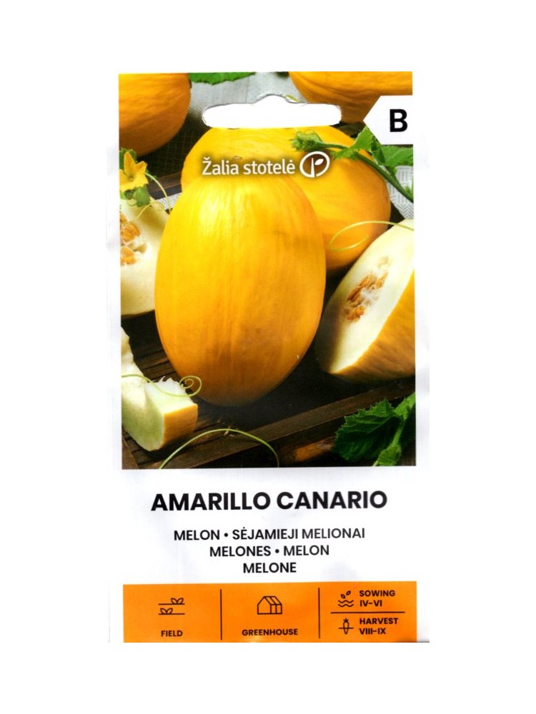 Melone 'Amarillo Canario' 1 g