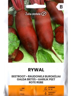 Betterave 'Rywal' 20 g