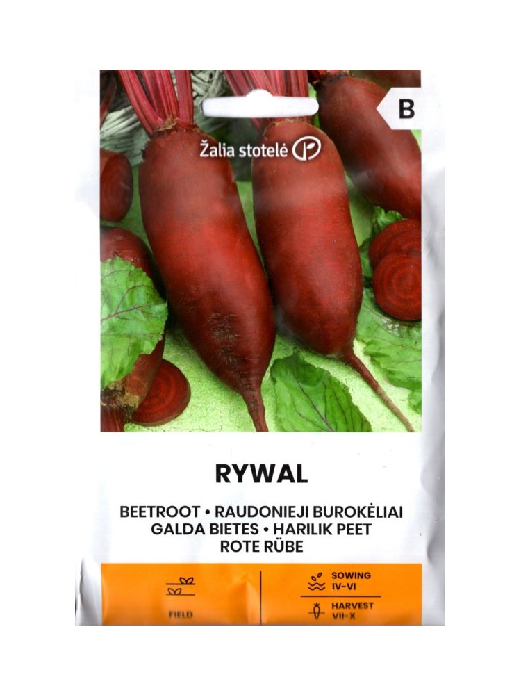 Beetroot 'Rywal' 20 g