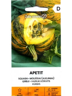 Oilseed Pumpkin 'Apetit' 2 g