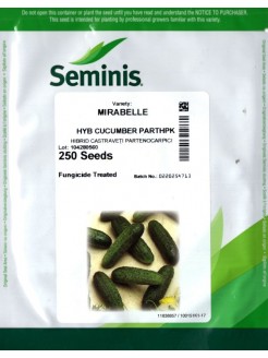 Gherkin 'Mirabelle' H, 250 seeds