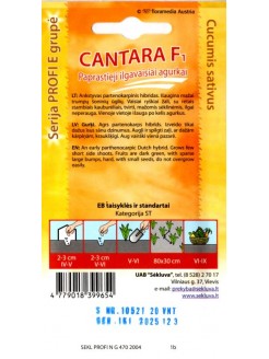 Gherkin 'Cantara' H, 20 seeds