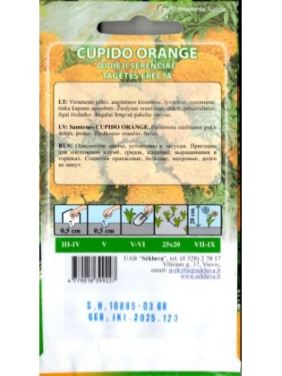 SE Serentis didysis 'Cupido Orange' 0,3 g