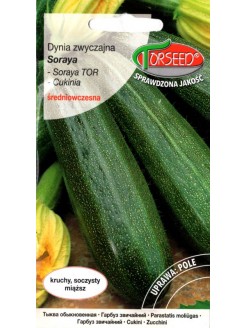 Zucchini 'Soraya' 2 g