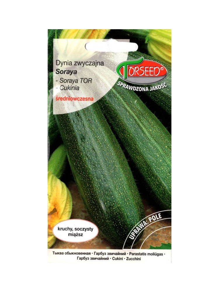 Courgette 'Soraya' 2 g