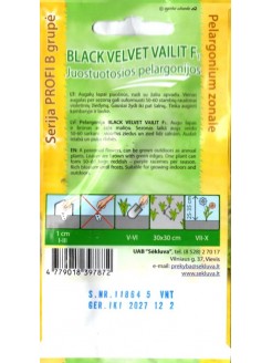 Пеларгония зональная 'Black velvet Vailit' H, 5 семян