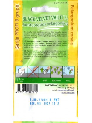 Пеларгония зональная 'Black velvet Vailit' H, 5 семян