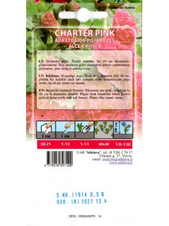 Parastā kāršroze 'Charter Pink' 0,3 g