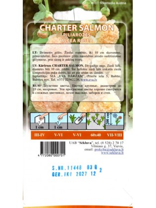 Rose trémière 'Charter Salmon' 0,3 g