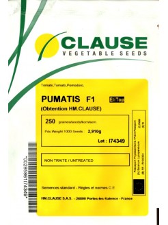 Tomate 'Pumatis' F1, 250 graines