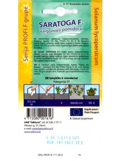 Tomato 'Saratoga' H, 8 seeds