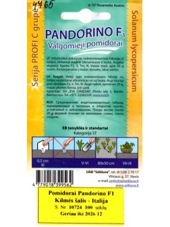 Pomodoro 'Pandorino' H, 100 semi