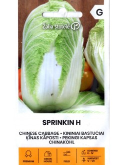 Napa cabbage 'Sprinkin' H, 0,1 g