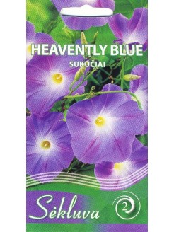 Himmelblaue Prunkwinde 'Heavenly Blue' 2 g