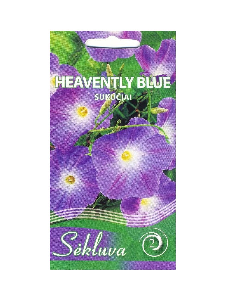 Trīskrāsainā ipomeja 'Heavenly Blue' 2 g