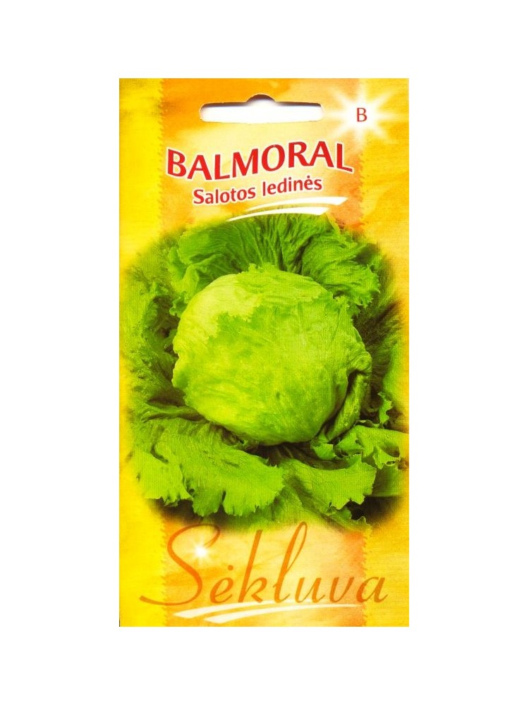 Laitue cultivée 'Balmoral' 0,2 g