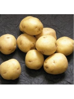 Sėklinės bulvės 'Vineta' 5 kg