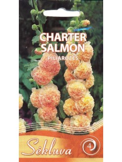 Штокроза розовая 'Charter Salmon' 0,3 г