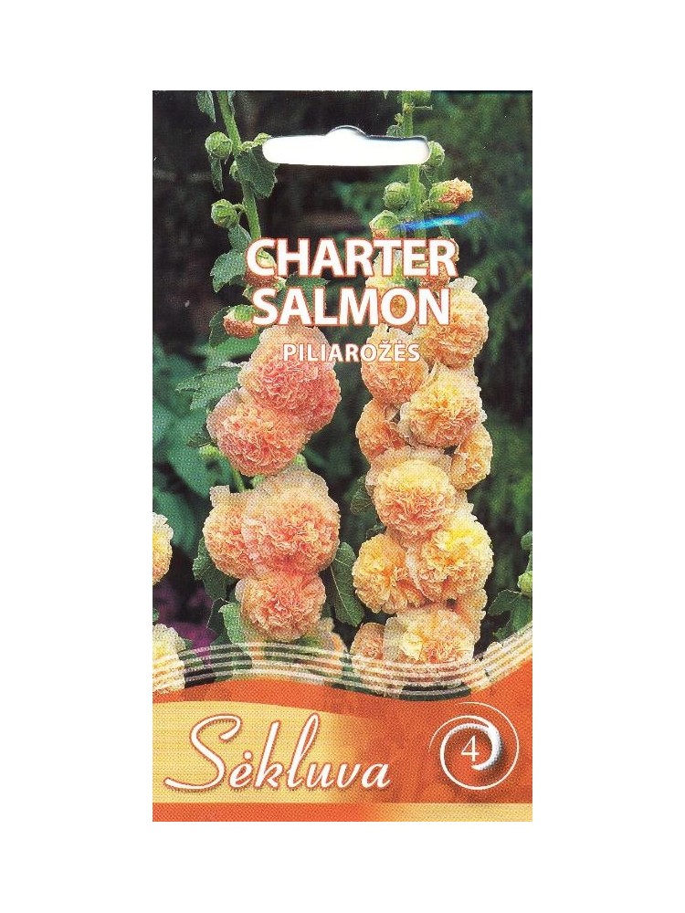 Common Hollyhock 'Charter Salmon' 0,3 g