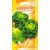 Romaine lettuce 'Coventry' 20 seeds