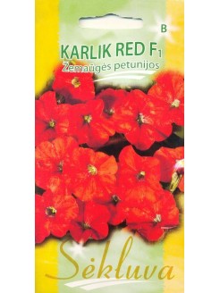 Petuunia hübriidne 'Karlik red' H, 25 seemned