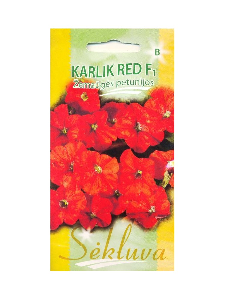 Petunia 'Karlik red' H, 25 seeds