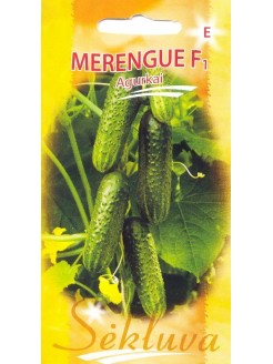 Harilik kurk 'Merengue' H, 20 seemned