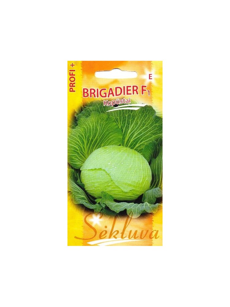 White cabbage 'Brigadier' H, 100 seeds