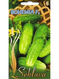 Cucumber 'Bohemia' H, 1 g