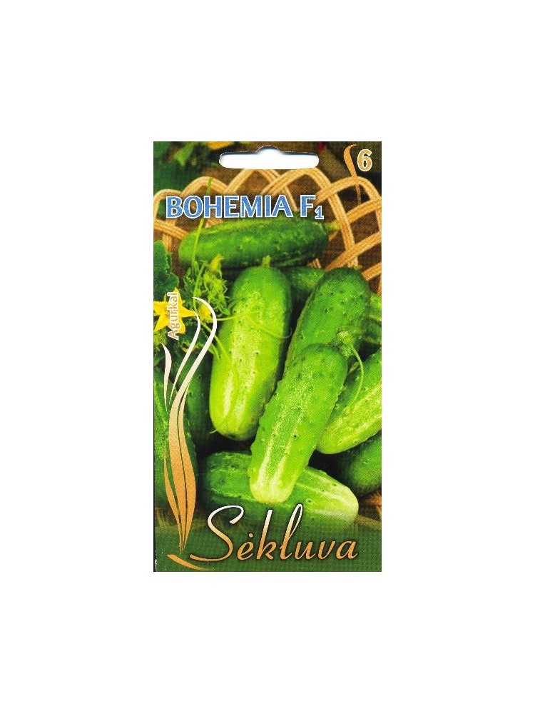 Cetriolo 'Bohemia' H, 1 g