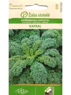 Kale 'Kapral' 2 g