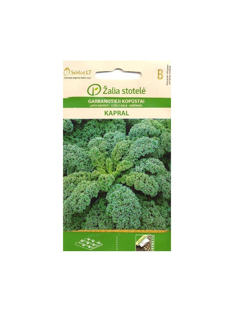 Kale 'Kapral' 2 g