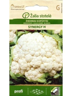 Cauliflower 'Synergy' H, 15 seeds