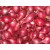 Svogūnai 'Red Karmen', sėjinukai 0,5 kg, 14-21 mm