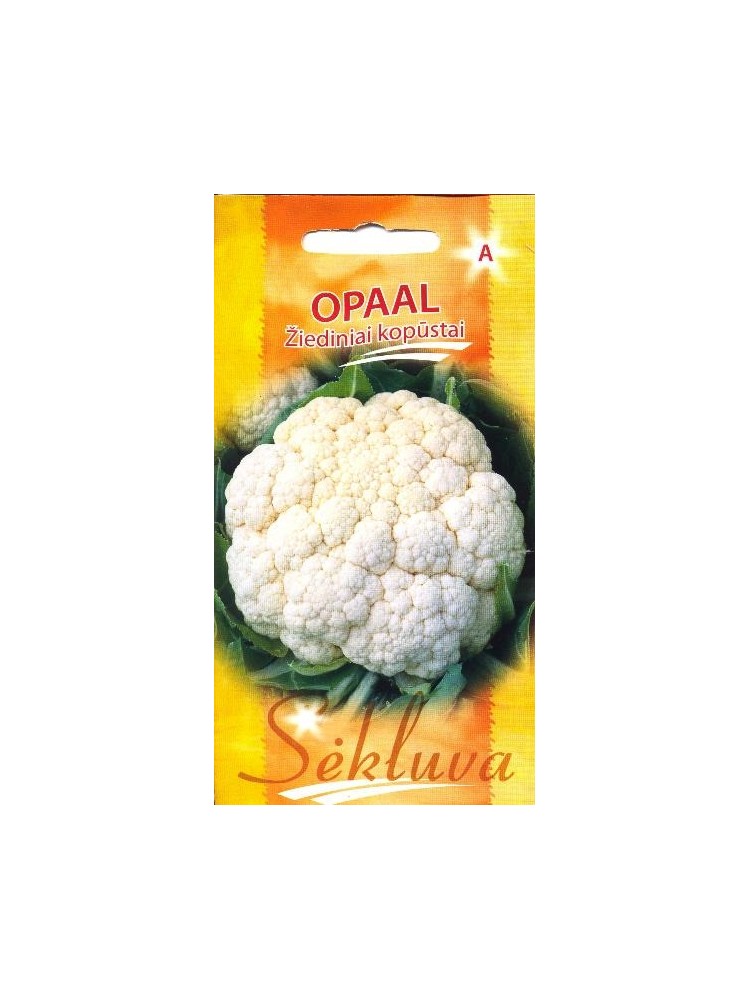 Cauliflower 'Opaal' 30 seeds