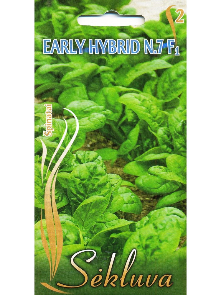 Spinach 'Early Hybrid No 7' H, 5 g