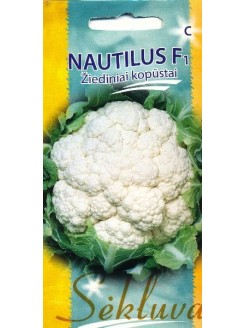 Chou-fleur 'Nautilus' H, 30 graines