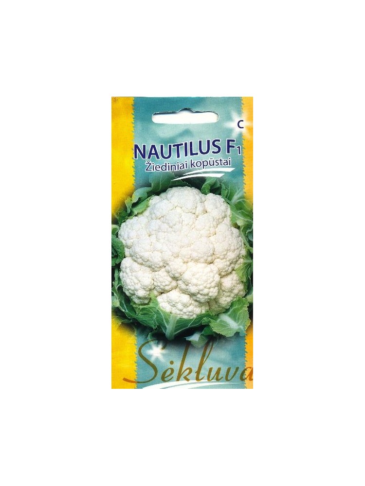 Blumenkohl 'Nautilus' H, 30 Samen