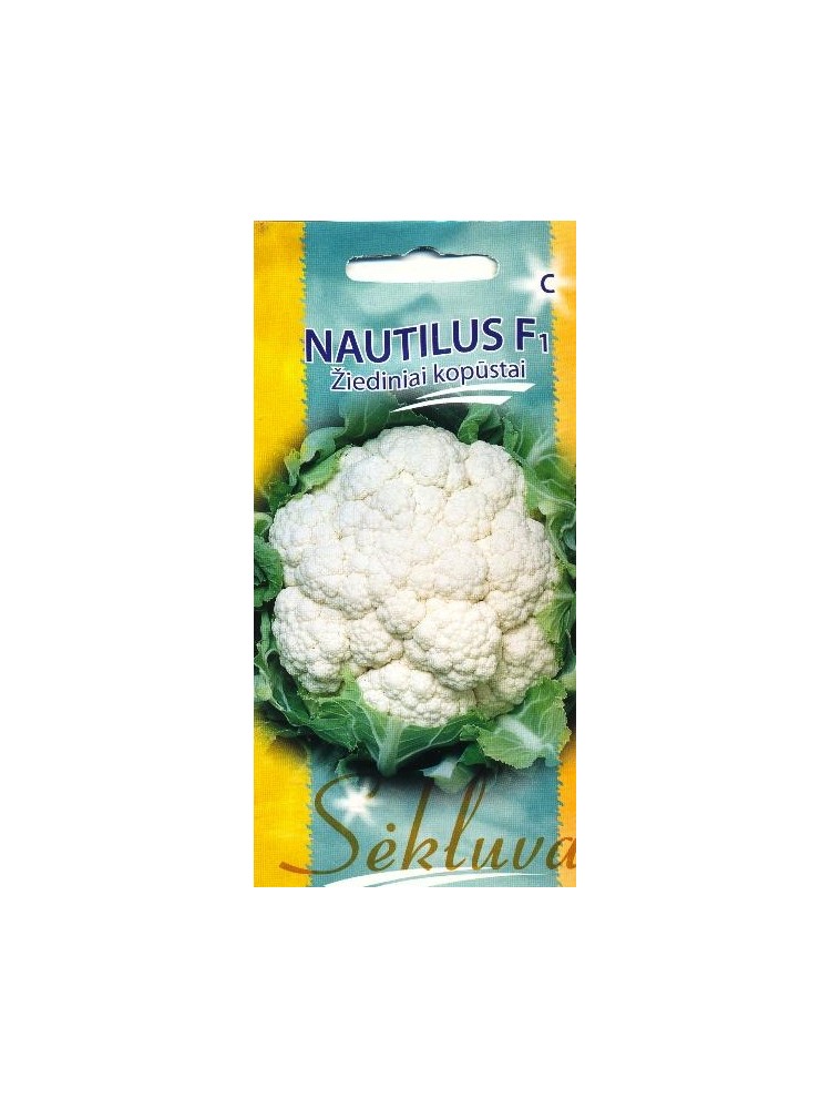 Cauliflower 'Nautilus' H, 30 seeds