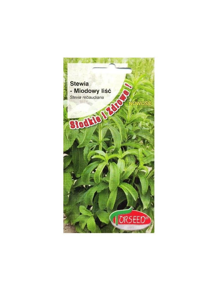 Stevia rebaudiana, 10 semi