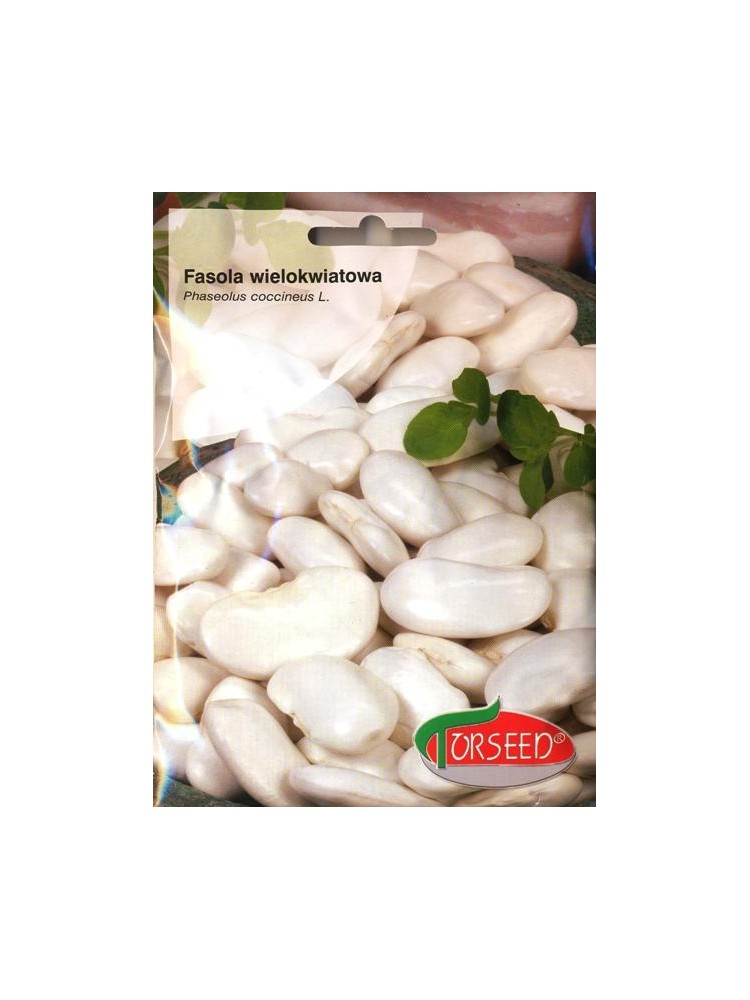 Runner bean 'Kontra' 40 g