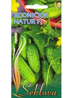 Cucumber 'Rodnichok natur' H, 1,5 g