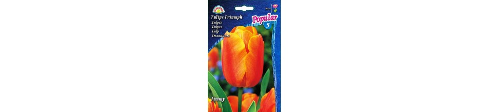  Triumfo tulpės