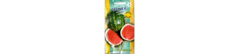 Wassermelonenkerne