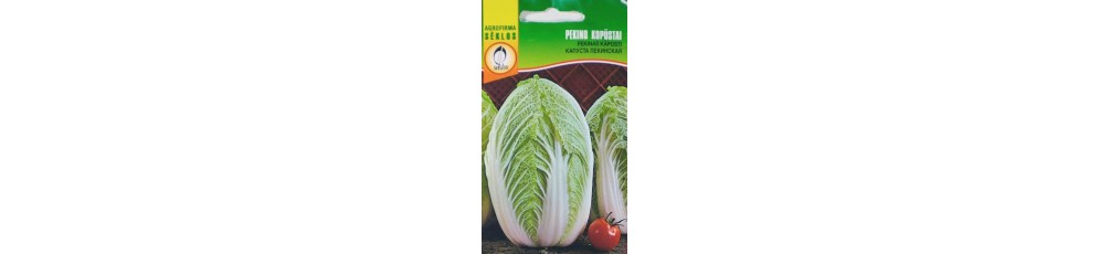 Chinese cabbage