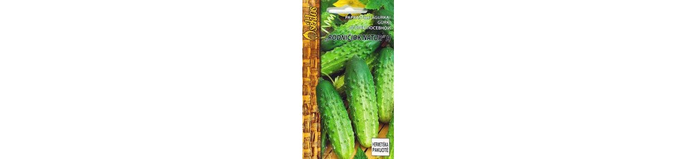 Cucumber